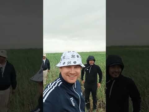 Видео: Плато Устюрт. Озеро Судочье. Мыс Урга. Возвращение в Ташкент. Эпизод 6