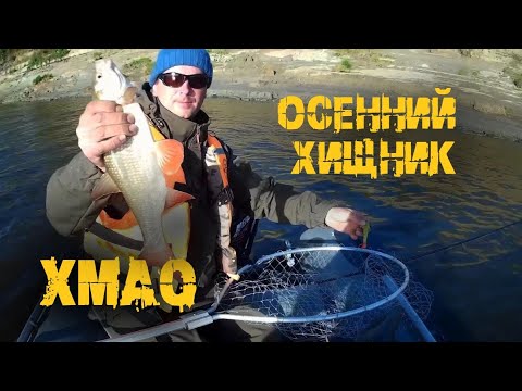 Видео: Очень неплохо! Осенний хищник на спининг! ХМАО с. Каменное