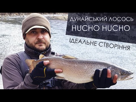 Видео: ТРОФЕЙНИЙ ДУНАЙСЬКИЙ ЛОСОСЬ / Воблер JERRY SQIUD РУЛИТЬ