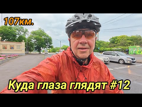 Видео: Куда глаза глядят #12. 2025 г.