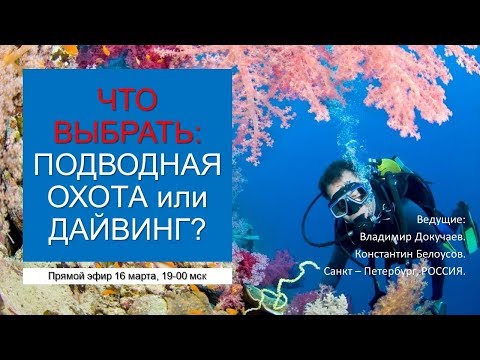 Видео: Дайвинг для подводного охотника. Вебинар с участием К. Белоусова и В. Докучаева