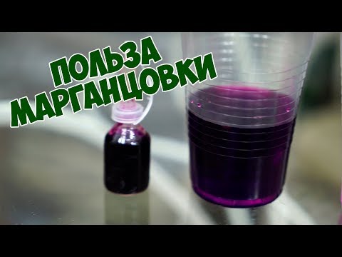 Видео: Польза марганцовки для растений, семян и грунта