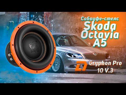 Видео: Малыш Gryphon Pro 10 V3 шатает кузов у Octavia A5 FL