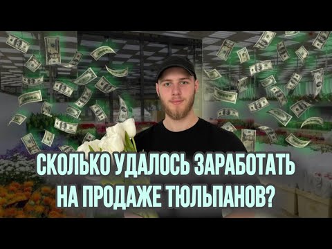 Видео: Продажа Тюльпанов на 8 марта! СКОЛЬКО УДАЛОСЬ ЗАРАБОТАТЬ?
