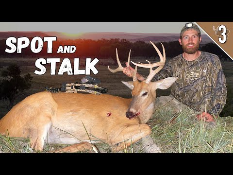 Видео: Охота на ОЛЕНЯ с выслеживанием и преследованием с ЛУКОМ!!! (Отличный САМЕНЬ с 15 ярдов!)