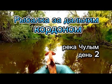 Видео: Рыбалка за дальним коpдоном. Река ЧУЛЫМ. День 2.