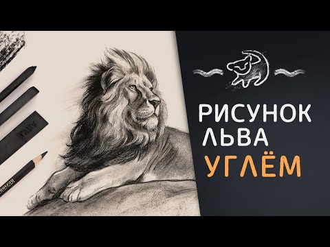 Видео: Рисунок льва углём // Экспресс МК о видах угля и технике рисования