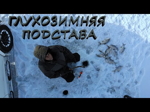 Видео: МЕЧТАТЬ НЕ ВРЕДНО | ФЕВРАЛЬСКИЕ ПРИЧУДЫ КВХ | СОВЕТЫ ПО СНАСТЯМ