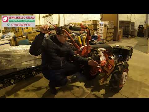 Видео: Мотоблоки МТЗ с двигателем Rato, Wiema,  Lifan.