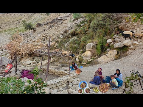 Видео: Кочевая жизнь | Ежедневные трудности девушек-кочевниц ⛰️ | Дикие инжир и гранаты: кочевые приключе