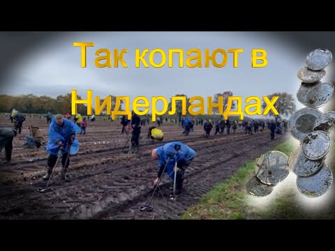 Видео: КОП в КАНАДЕ СНОВА КЛАД - - Мой Друг на Соревнованиях