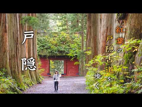 Видео: Тогакуси Осень🍁Осенняя Листва у Зеркального Пруда и Ночевка в Храме | Нагано