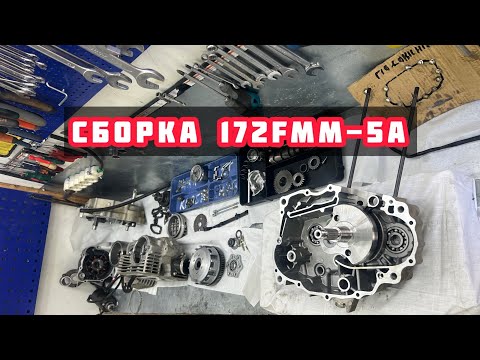 Видео: КАК СОБРАТЬ ДВИГАТЕЛЬ 172 FMM 5 REGULMOTO SPORT 003