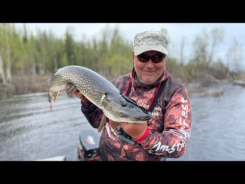 Видео: Щуки половодья, специфика ловли... как бонус Таймень!