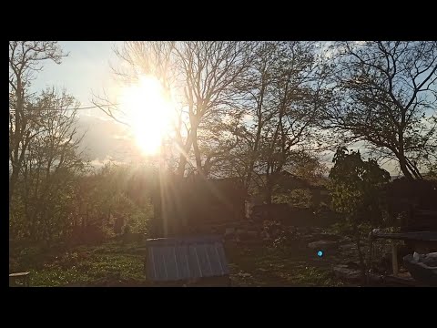 Видео: 29,30 октября 2025 г. Строю дом. Домашние хлопоты.