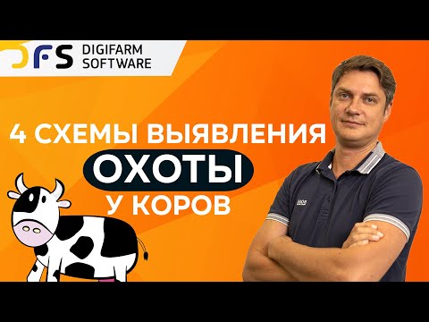 Видео: Схемы выявления охоты у коров