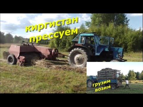 Видео: Прессуем сено прессом "КИРГИСТАН".