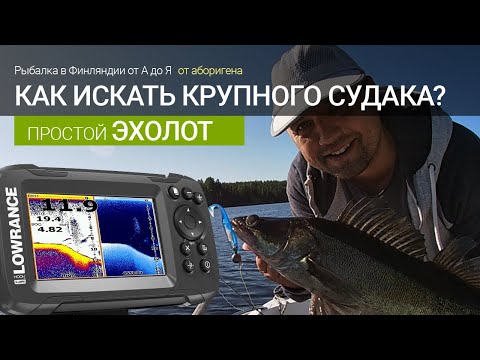 Видео: Крупный судак на эхолоте или поиски крупного судака простым эхолотом