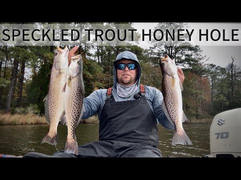 Видео: Я нашёл медовую нору для пятнистой форели | Приманки Gorilla Squad | Post Cold Fromnt