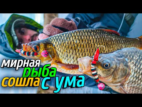 Видео: ЭТО НУЖНО УВИДЕТЬ / Вся РЫБА стает в очередь за ней / Рыбалка на джиг