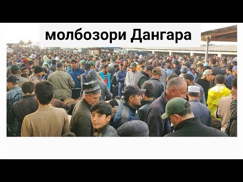 Видео: Молбозори Дангара 02 11 2025 г