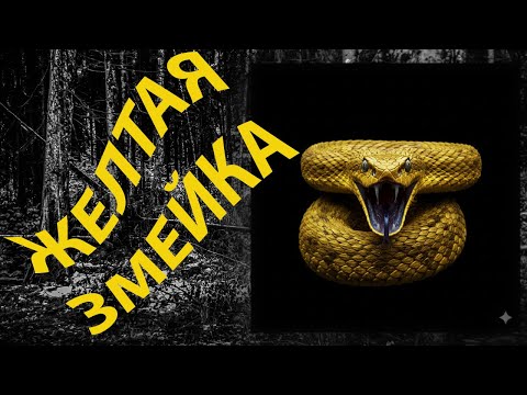 Видео: ЖЕЛТАЯ ЗМЕЙКА #Охота#ОхотничьиИстории#Рассказ#Приключения#ДикаяПрирода#РассказыОтАвтора#Тайга#