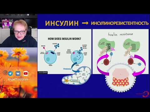 Видео: Бесплодие в парах с инсулинорезистентностью l Пустотина О. А.