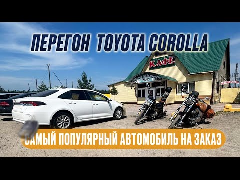 Видео: Перегон из Владивостока в Тюмень TOYOTA COROLLA из Китая для клиентки