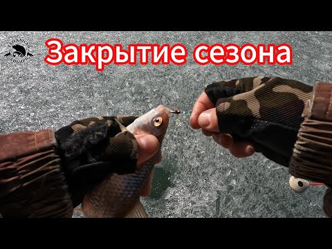 Видео: р. Иртыш ЗАКРЫТИЕ СЕЗОНА твердой воды 2023-2024г  #Безмотылка #ПоследнийЛед