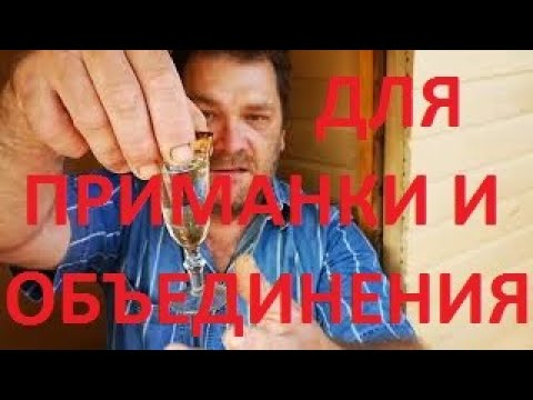 Видео: Как готовлю АПИРОЙ!