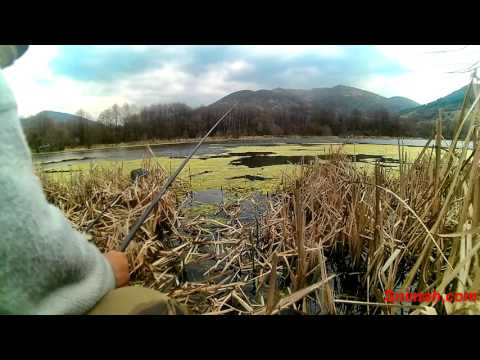 Видео: Риболов на язовир Тополница - март 2016