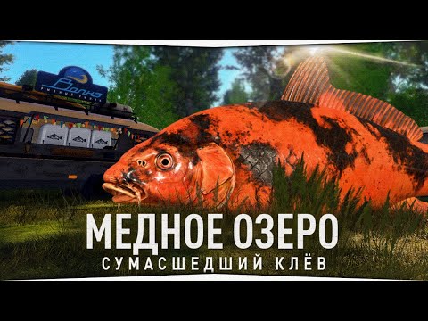 Видео: Медное озеро • Фарм серебра • Русская Рыбалка 4