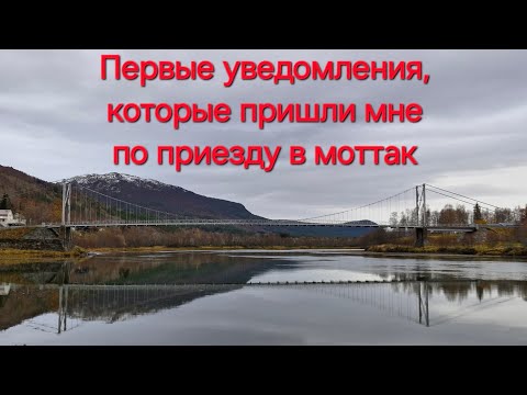 Видео: Получила первые "письма счастья" в моттаке Норвегии