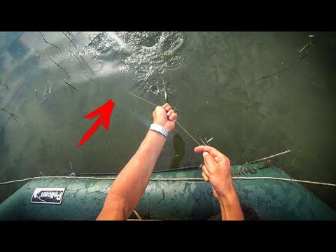 Видео: Рыбалка на ПЕРЕМЁТ! Карпы сами ловятся! Супер снасть + поплавок!