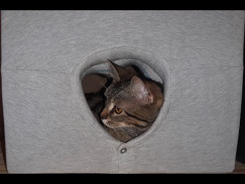 Видео: Как сделать домик для кошки за 5 минут | How to make a cat house in 5 minutes