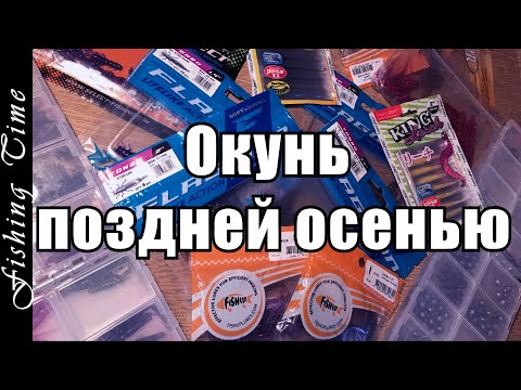 Видео: На что и как ловить окуня поздней осенью !?