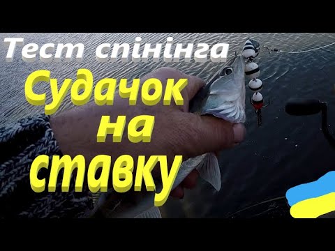 Видео: # Тестую нові снасті # Судачок на ставку #РибачуЯкУмію