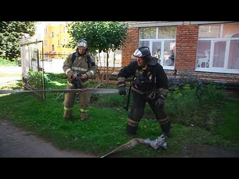 Видео: Пожарные учения в детском саду