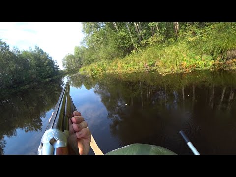 Видео: ОХОТА НА УТОК 2021. ОХОТА С ЧУЧЕЛАМИ. УТИНЫЕ ЗОРИ.