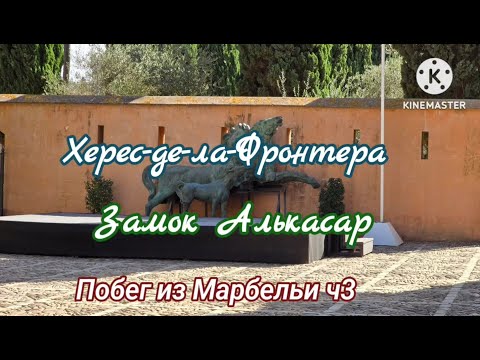 Видео: ПОБЕГ ИЗ МАРБЕЛЬИ ХЕРЕС АЛЬКАСАР ч3 JEREZ ALCAZAR #travel #spain #жизньвиспании #jerez
