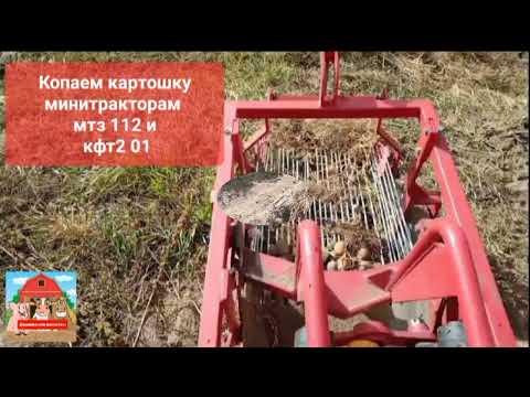 Видео: Копаем картошку минитракторам мтз 112  и кфт2 01#минитрактор #мтз112 #картофелекопалка