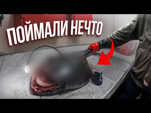 Видео: Поймали нечто! Как моряки готовят рыбу на судне? Ловим селедку! Работа на рыболовецком судне