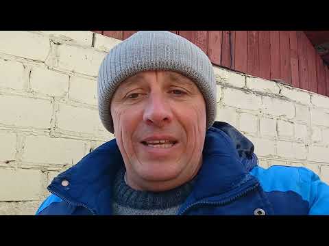 Видео: Окролы.И как правильно  подкинуть крольчат к другой мамаше.👍👍👍