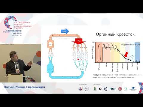Видео: УЗИ органного кровотока Лахин Р.Е.