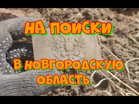 Видео: НА ПОИСКИ В НОВГОРОДСКУЮ ОБЛАСТЬ.