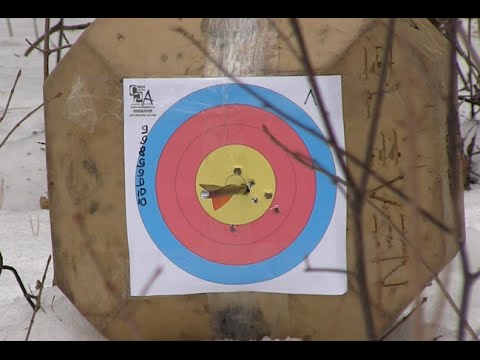 Видео: АРБАЛЕТ или ЛУК - что точнее?