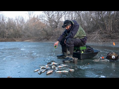 Видео: ДОСТАЮ ОДНУ ЗА ОДНОЙ. ТИХОЕ И РЫБНОЕ МЕСТО. РЯДОМ ЗАВЫЛИ ВОЛКИ. НАЕДИНЕ С ДИКОЙ ПРИРОДОЙ.
