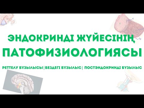 Видео: ЭНДОКРИНДІ ЖҮЙЕНІҢ БҰЗЫЛЫСТАРЫ - реттелу бұзылысы, эндокринді бездегі бұзылыс - патофизиология