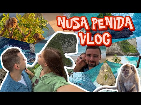 Видео: 🤿НУСА-ПЕНИДА😍МАНТЫ, МАССАЖ и КРУТЫЕ ЛОКАЦИИ, стоимость и как добраться