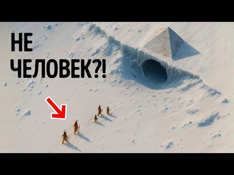 Видео: В Антарктиде было обнаружено что-то жуткое... и никто не может это объяснить